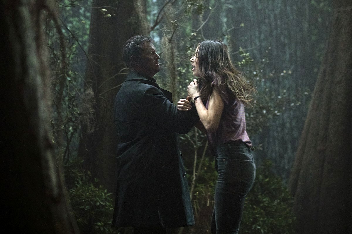 Photo from the movie Swamp Thing