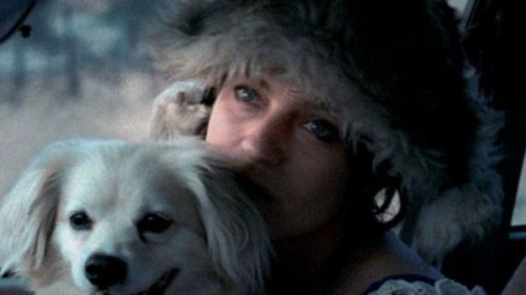 Photo du film Wristcutters: A Love Story