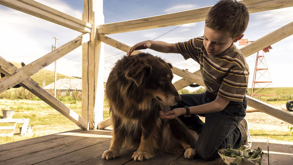 Photo du film L'Extravagant Voyage du jeune et prodigieux T. S. Spivet
