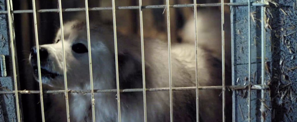 Photo from the movie Days of Power