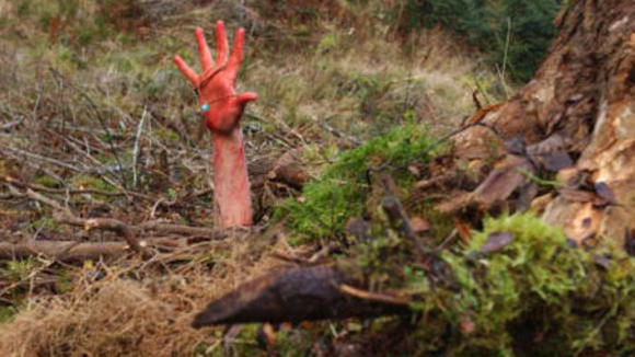 Photo du film La Descente v.f.