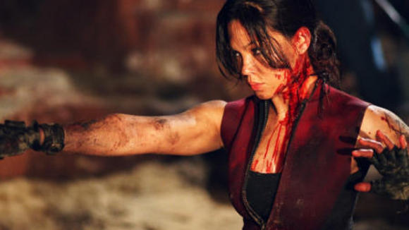 Photo du film La Descente v.f.