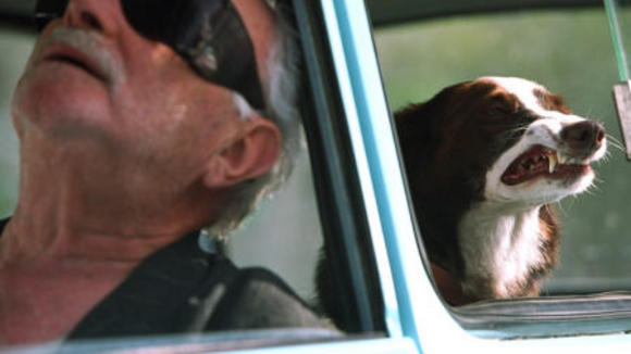 Photo du film Everything Is Illuminated