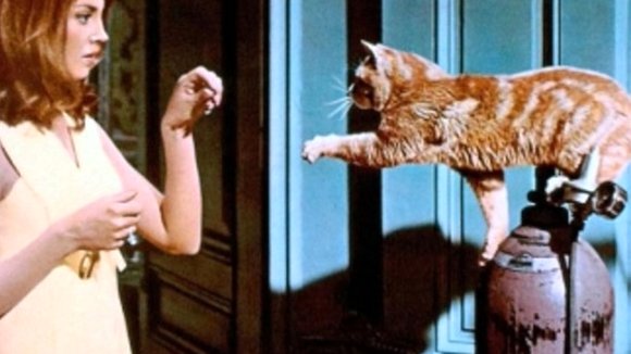 Photo from the movie Eye of the Cat