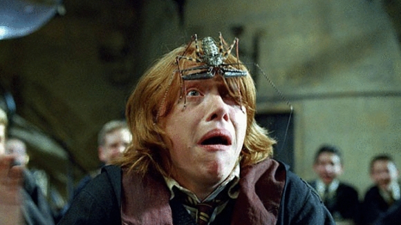 Photo du film Harry Potter and the Goblet of Fire