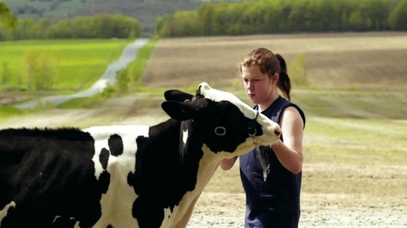 Photo du film Le Plancher des vaches