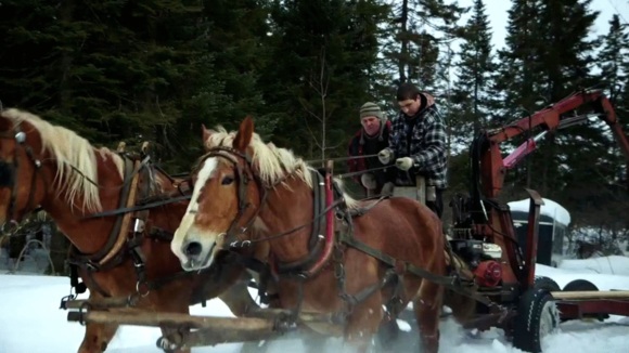 Photo du film Le Plancher des vaches