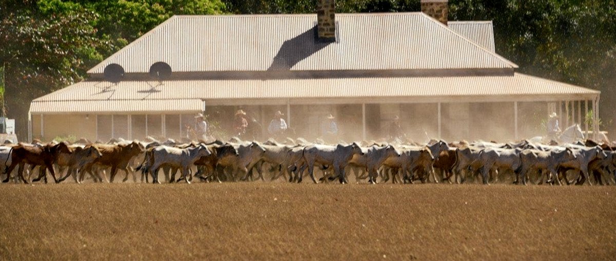 Photo from the movie Territory