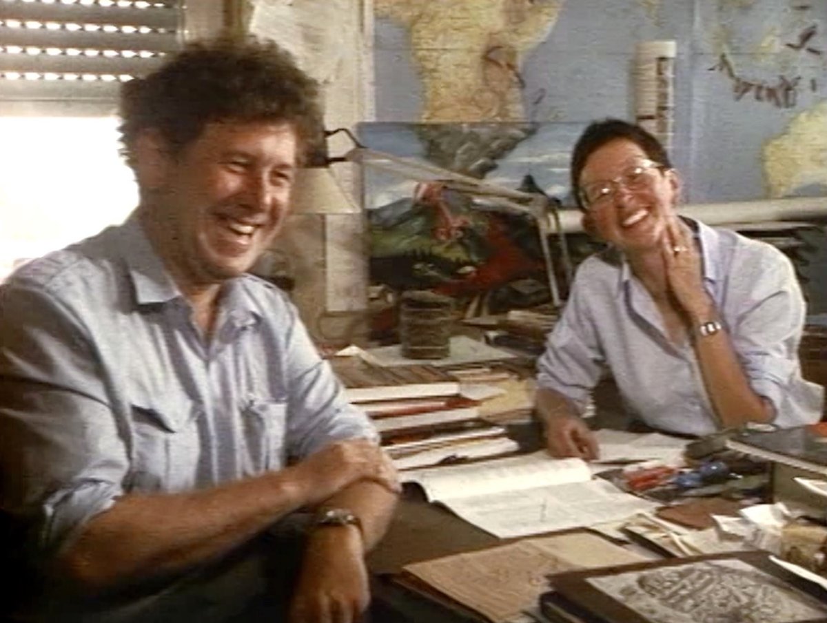 Photo from the movie Fire of Love: Au coeur des volcans