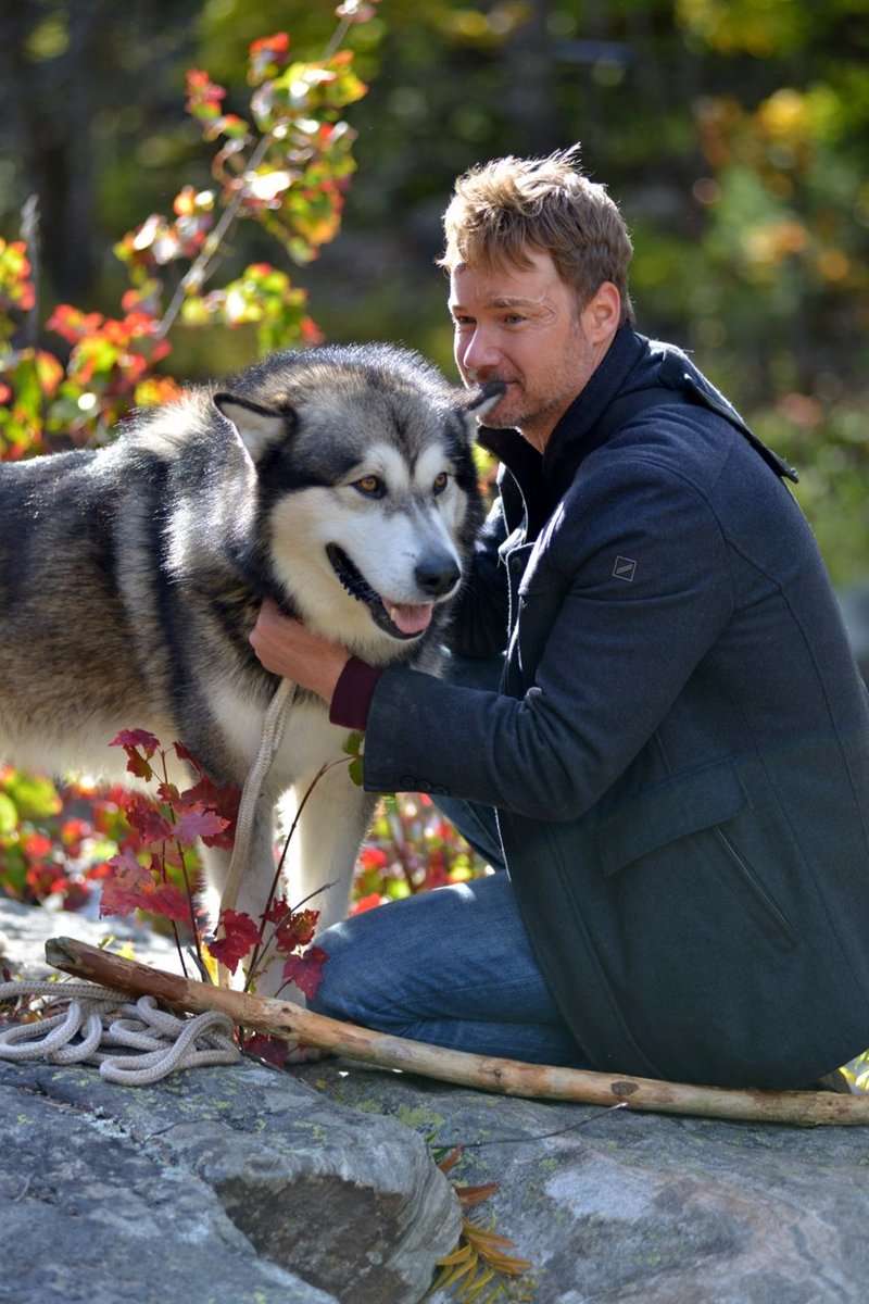 Photo du film Against the Wild III: The Journey Home