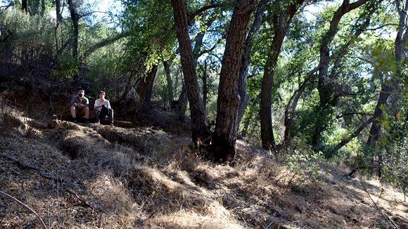 Photo du film A Better You