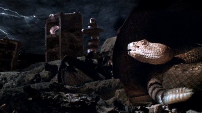 Photo from the movie Tiny Giants