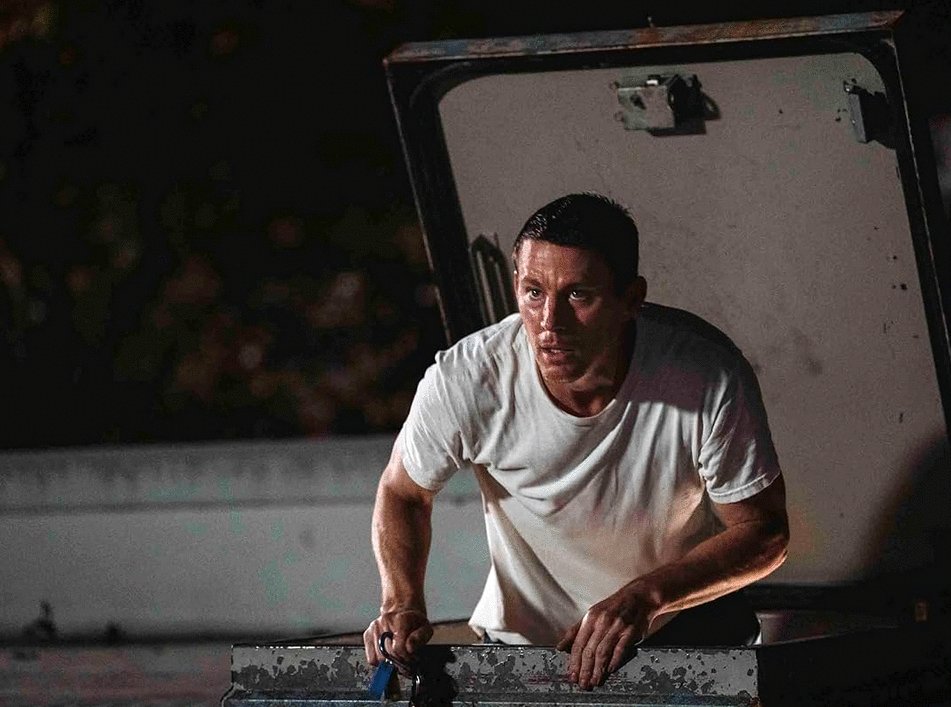 Photo du film Un voleur sur le toit