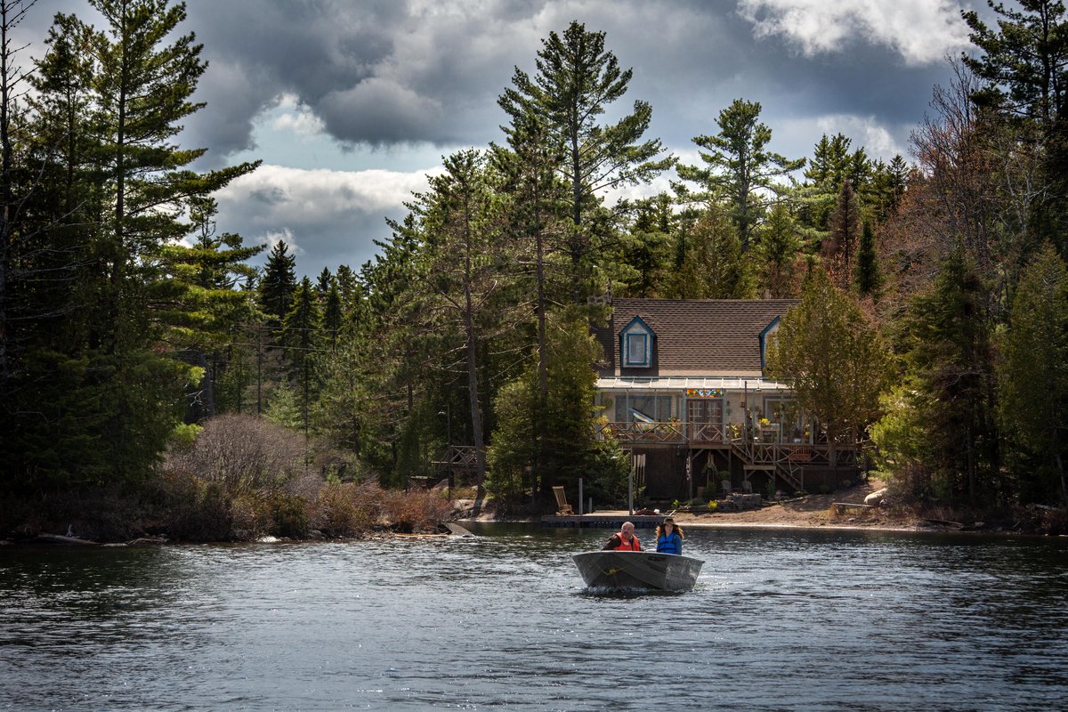 Photo from the movie Le loup et le lion