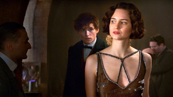 Photo du film Les Animaux Fantastiques