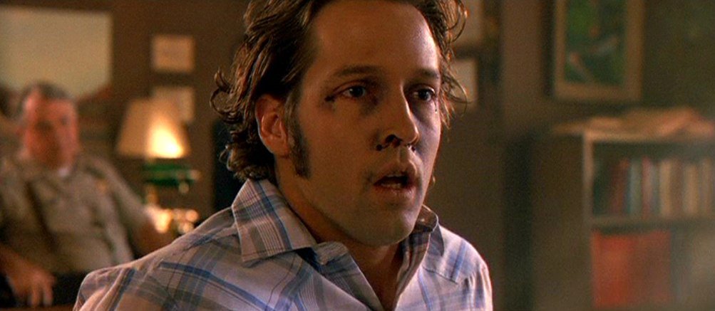 Photo du film Fire in the Sky