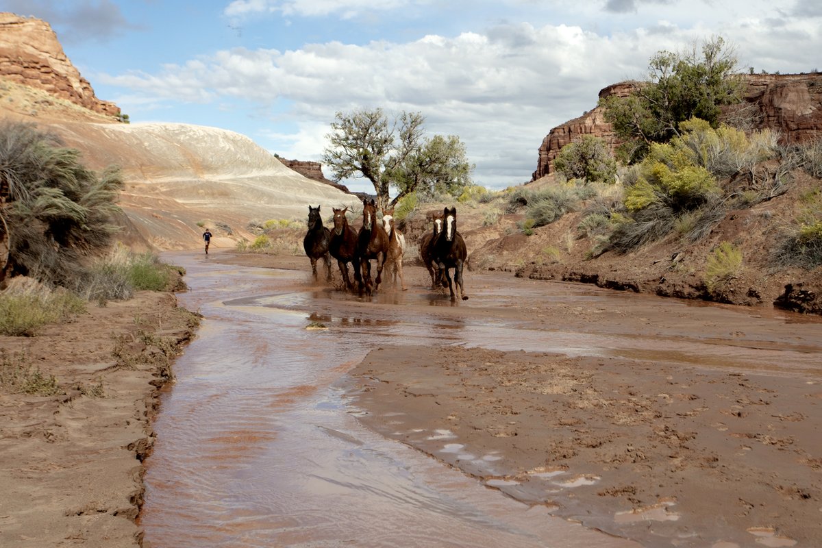 Photo from the movie Into America's Wild