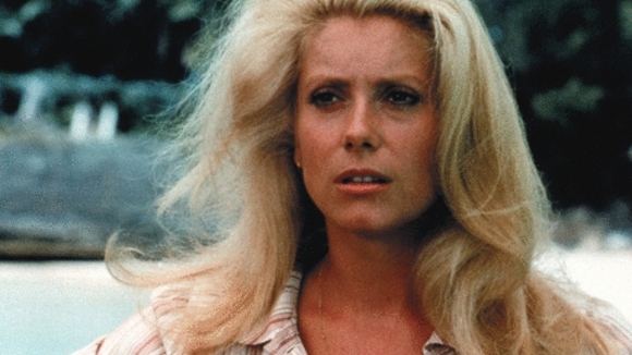 Photo du film Le Sauvage