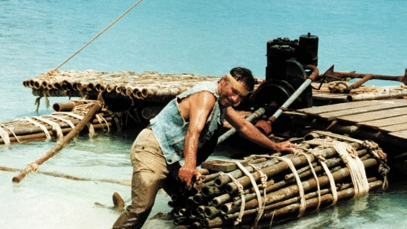 Photo du film Le Sauvage