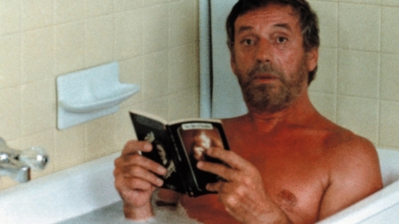 Photo du film Le Sauvage