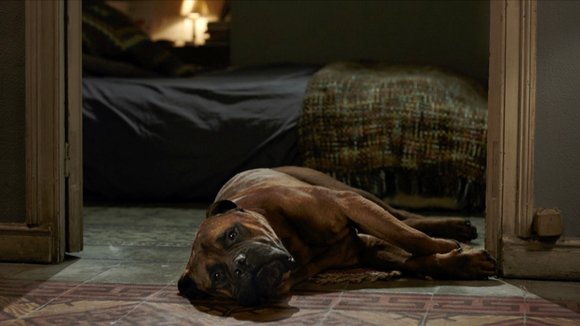 Photo du film Truman