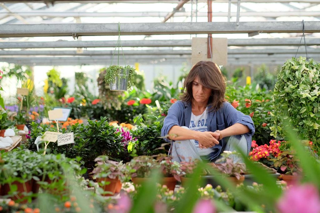 Photo du film De plus belle