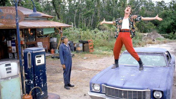 Photo du film Ace Ventura: Pet Detective