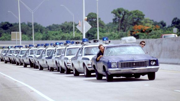 Photo du film Ace Ventura: Pet Detective