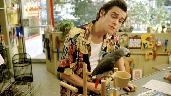 Photo du film Ace Ventura: Pet Detective