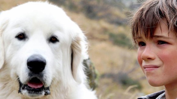 Photo du film Belle et Sébastien 2: L'aventure continue