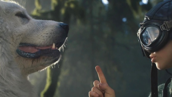 Photo du film Belle et Sébastien 2: L'aventure continue