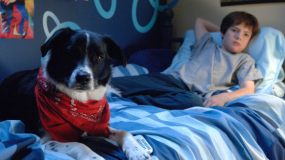 Photo from the movie Finn on the Fly