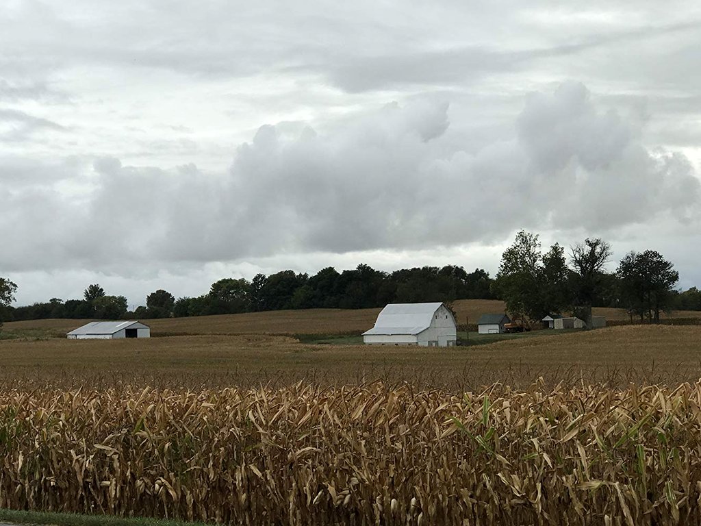 Photo du film Monrovia, Indiana [2018]