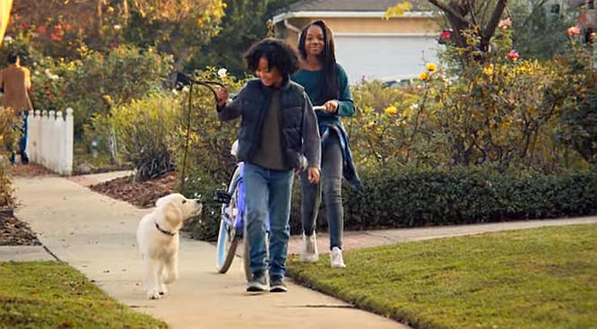 Photo from the movie Puppy Place