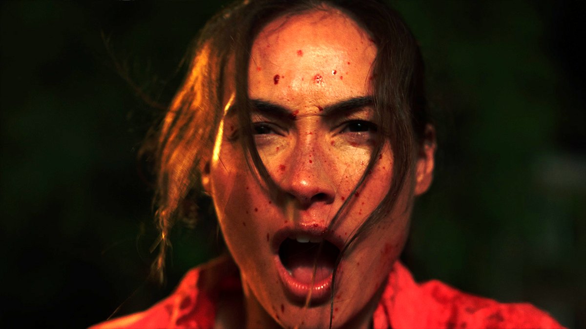 Photo du film The Invisible Raptor