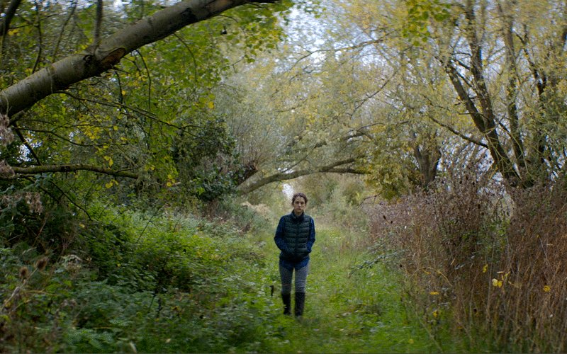 Photo from the movie The Levelling