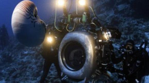 Photo from the movie Under the Sea