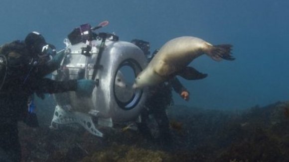 Photo from the movie Under the Sea