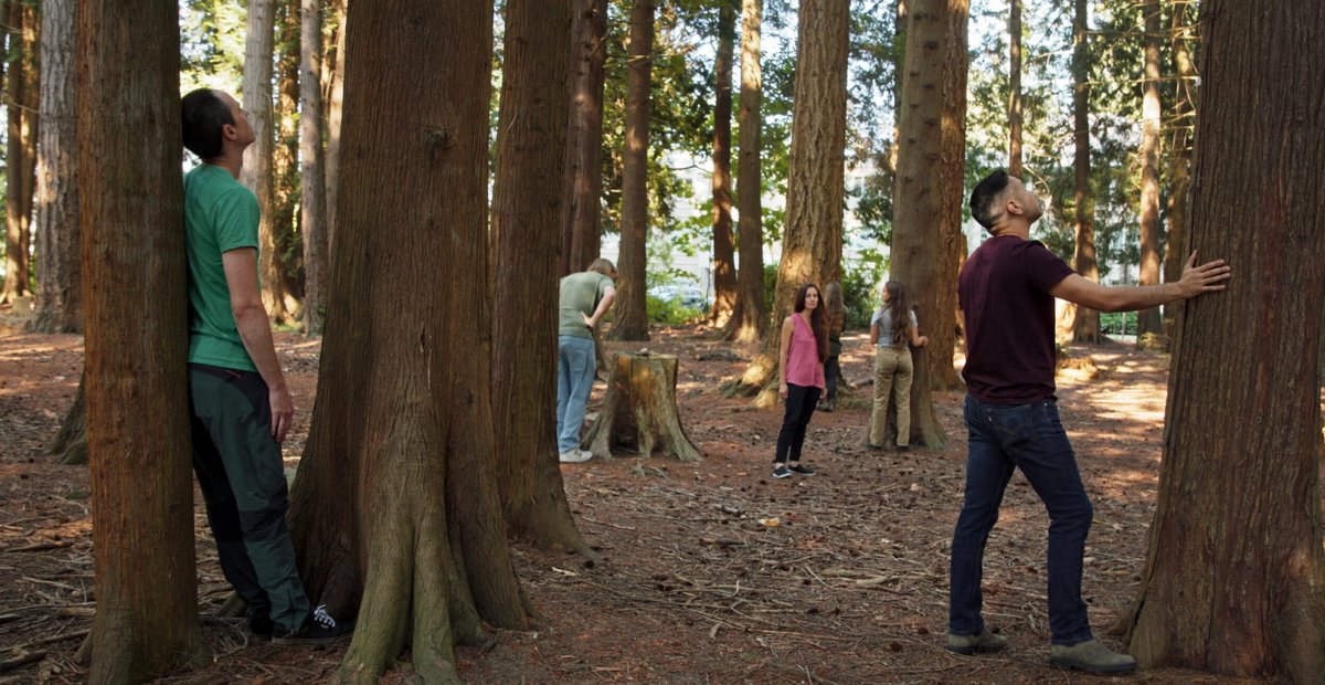 Photo from the movie Forêts urbaines