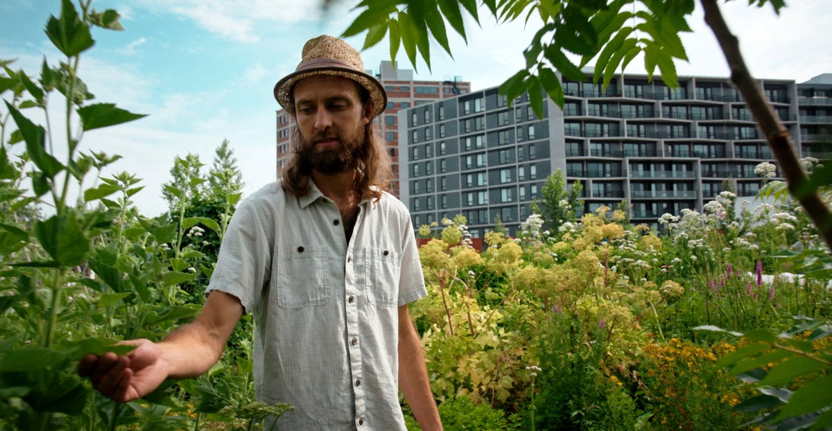 Photo from the movie Forêts urbaines