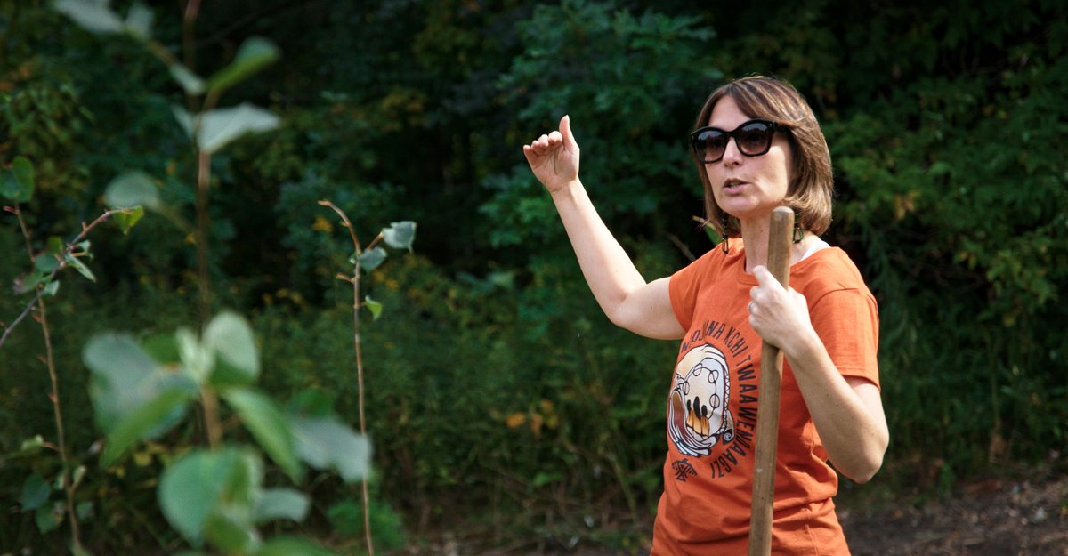 Photo from the movie Forêts urbaines