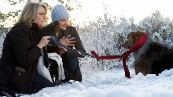 Photo from the movie Darling Companion