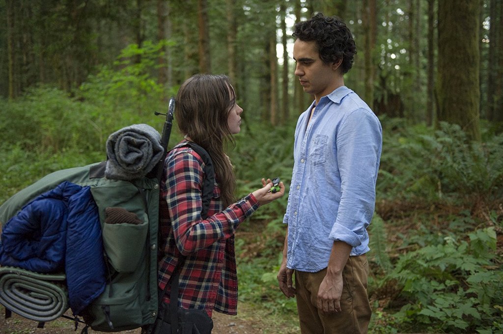 Photo from the movie Into the Forest