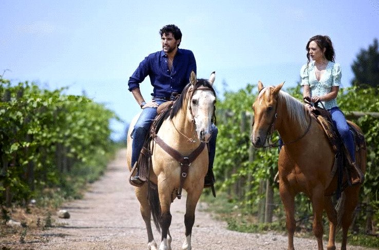 Photo from the movie Raise a Glass to Love