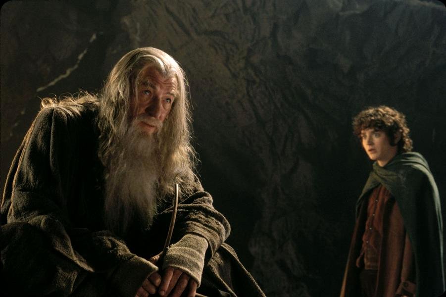 Photo du film The Lord of the Rings: The Fellowship of the Ring