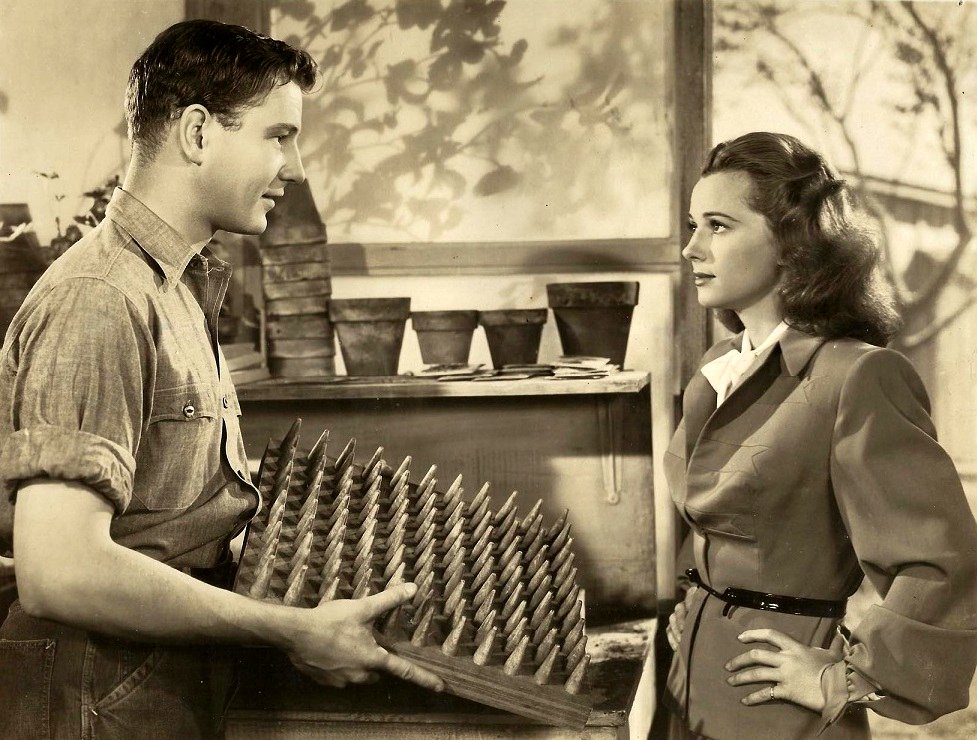 Photo du film This Man's Navy