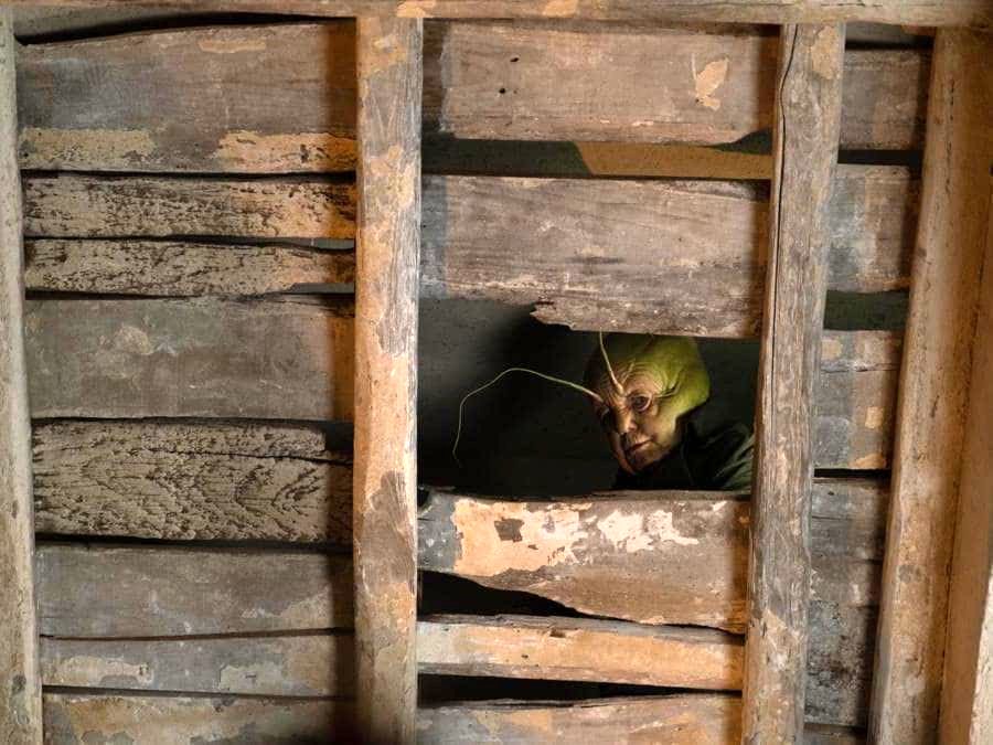 Photo du film Pinocchio