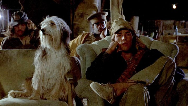 Photo from the movie A Boy and His Dog