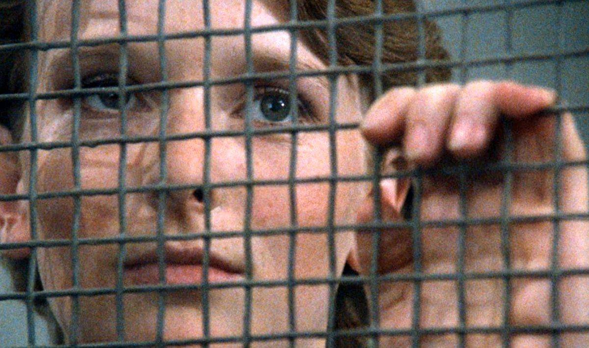 Photo from the movie Diary for My Lovers [1987]