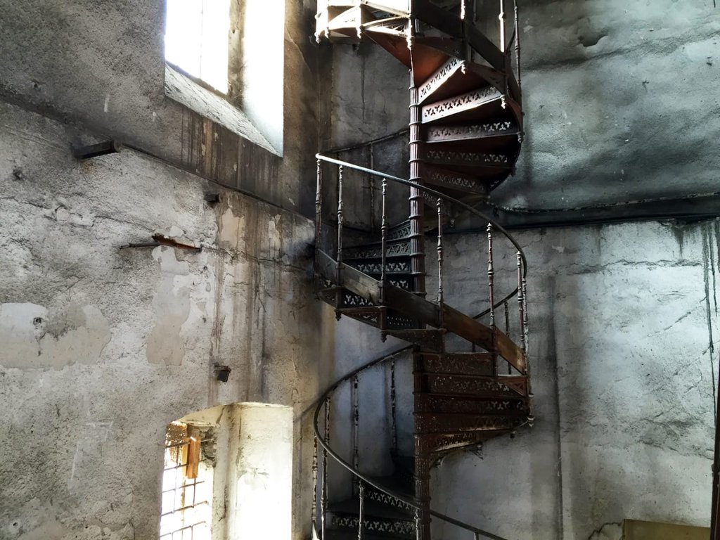 Photo du film Red Trees